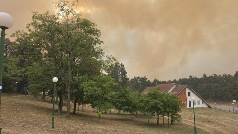 Angažovani helikopteri, buldožeri...vetar širi vatru ka kućama, počela evakuacija meštana - haos u šumarku (foto/video)