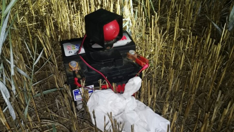 Počinje lov na prepelice, a dzpps upozorava na nezakonito korišćenje vabilica