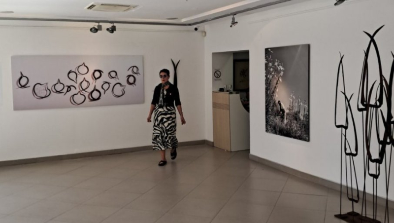 „vrt za moju majku“ : izložba nade kažić, crnogorske vajarke, u kulturnom centru novog sada